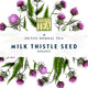 Milk Thistle Seed Organic Herbal Tea